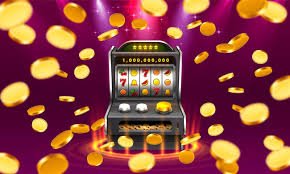 codbet568